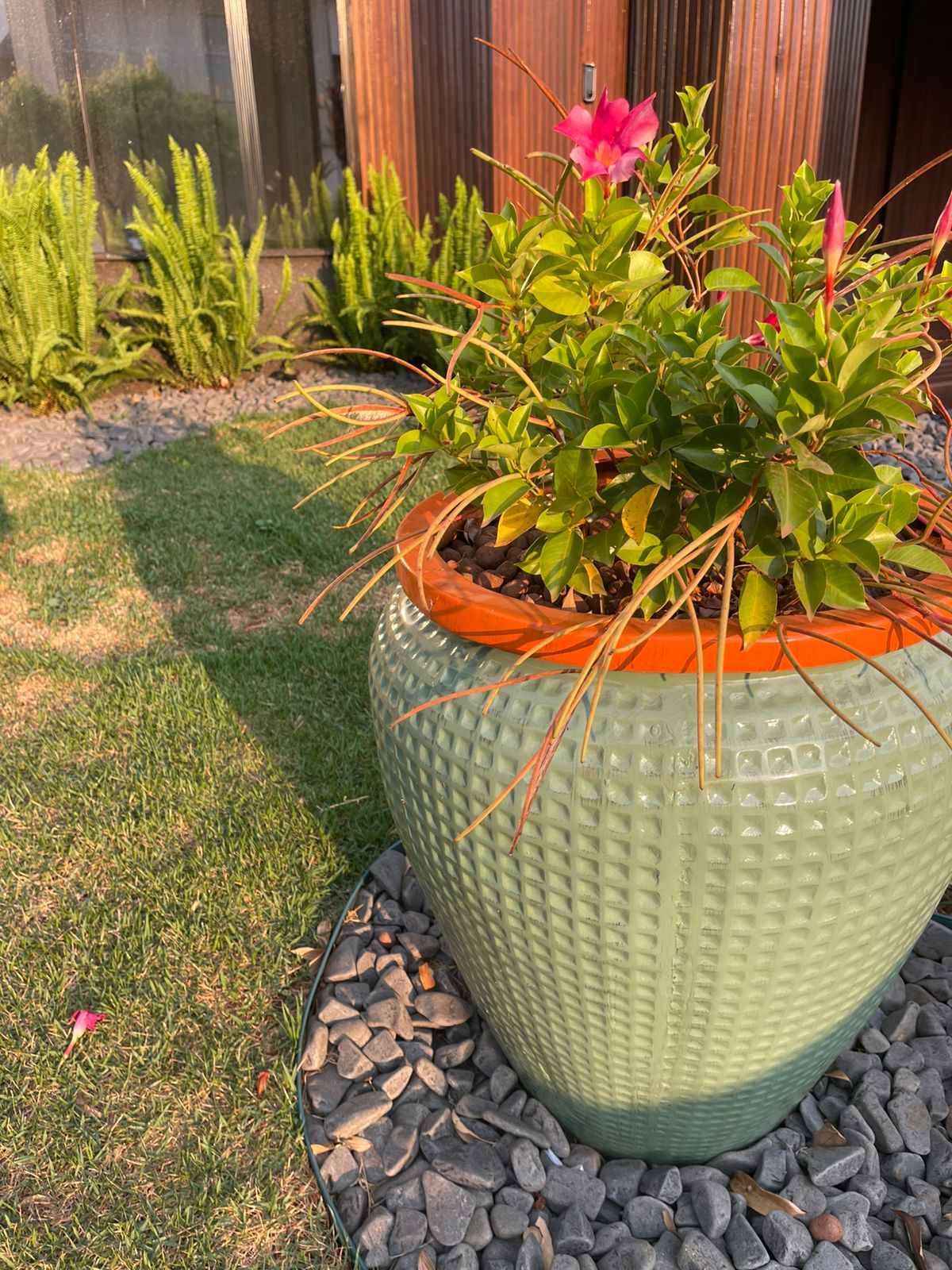 Jardim bem cuidado