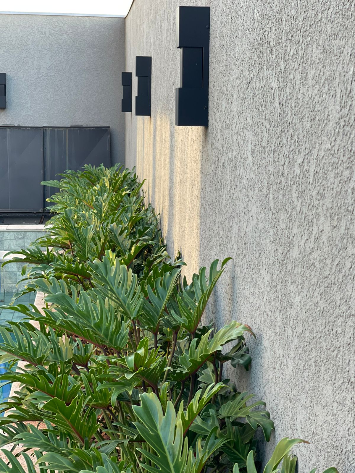 Vendas de Plantas