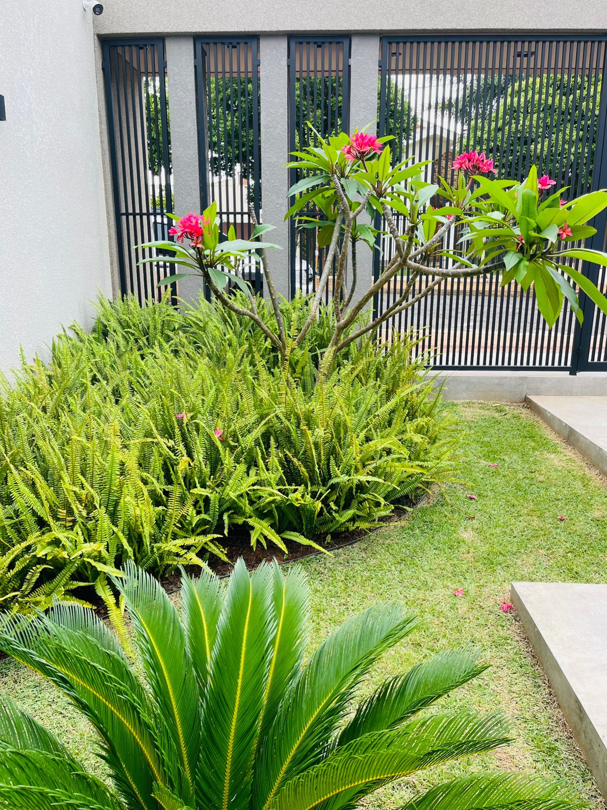 Projetos Paisagísticos